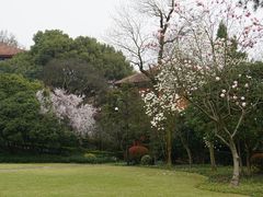 -之江大学-旧址