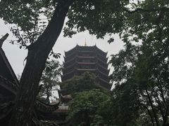 -青城山