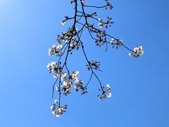 -苏州太湖国家湿地公园