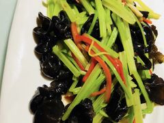 木耳拌香芹-萨拉漫饮食(北京中路店)