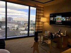 -拉斯维加斯永利酒店