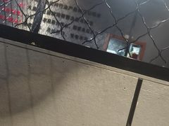 -丁虎子烤肉(国道二店)
