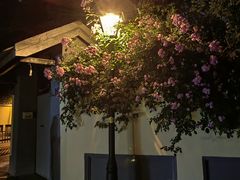 -颐和路民国时期公馆风貌区