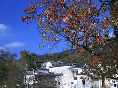 -塔川景区