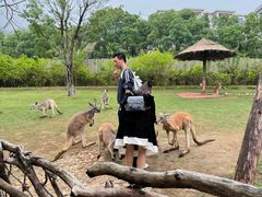 -泉州海丝野生动物世界