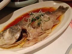 -百饺园(平山道店)