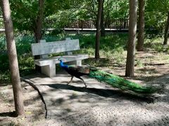 -北京麋鹿生态实验中心