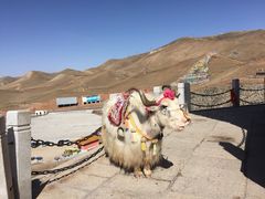 -青海湖国家重点风景名胜区