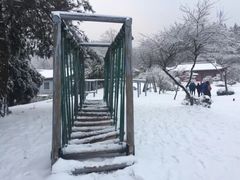 -溪口商量岗景区