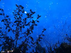 -萨芭蒂高空花园餐酒吧