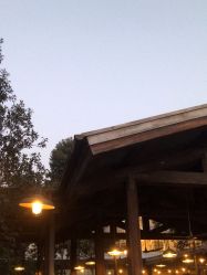 -翱翔飞越地平线