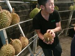 -都念榴莲·城市榴莲