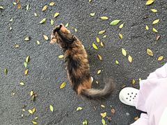 -广东工业大学(大学城校区)