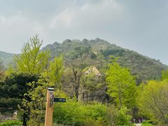 -北京鹫峰国家森林公园