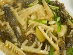 塘鱧鱼烧竹笋-沪依小酒馆心意菜