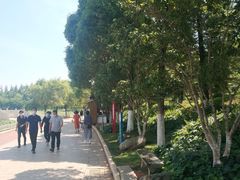 -洛龙公园