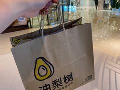 -油梨树AVOCADO TREE(嘉里中心店)