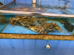 水产区-大天然酒店(军民路店)