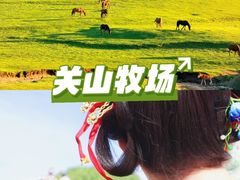-关山草原
