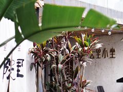 -云里小坐·小院里·团建·宴请·下午茶(三圣乡店)