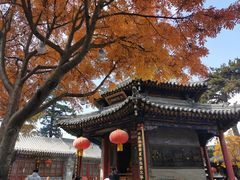 -五台山风景名胜区