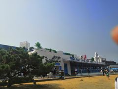 -北戴河碧螺塔海上酒吧公园