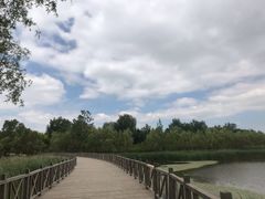 -蒲河岛湿地公园