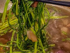 -美兰春记食店·龙舌坡红烧牛肉
