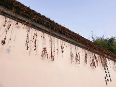 -青果巷历史文化街区