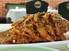 -金春禧·鲁菜海鲜(延吉路万达店)