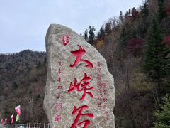 -凤凰山国家森林公园