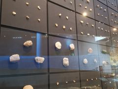 -北京周口店北京人遗址博物馆