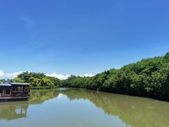 -大湾区中央湿地公园