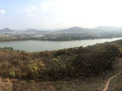 -羊山湖公园