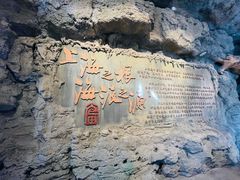 -广富林郊野公园