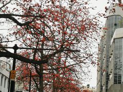 -烈士陵园(地铁站)