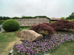 -嘉定紫藤园