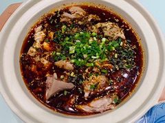 -新概念来凤鱼(璧山店)