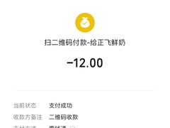 账单-正飞鲜奶(吐鲁番路店)