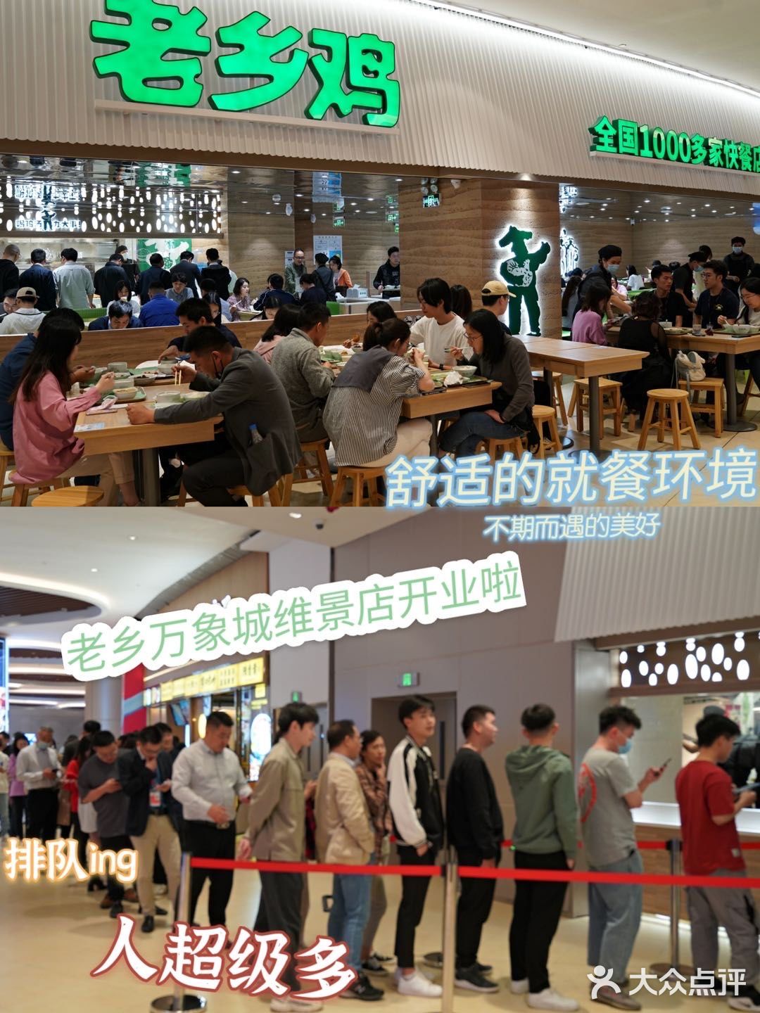 探店|上班族一周七天不重样 吃不腻的老乡鸡
