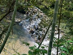 -石台牯牛降景区