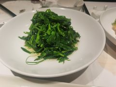 巧拌豆苗-四季民福烤鸭店(前门店)