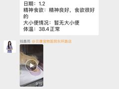 -贝康宠物医院·犬猫全科·小动物特色诊疗中心(东环路店)