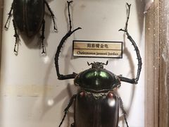 -浙江自然博物院(杭州馆)