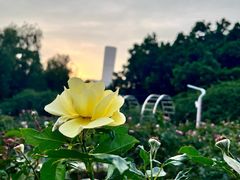 -人民公园(罗湖区)