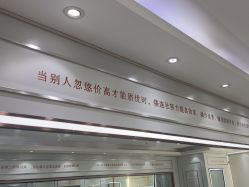 -镁连社·美联社