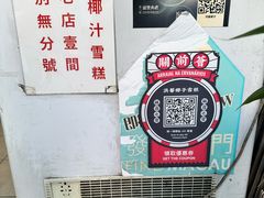 -洪馨椰子