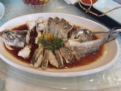 清蒸龙趸鱼-庄隐阁(悠方广场店)