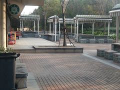 -吴淞炮台湾湿地森林公园烧烤区