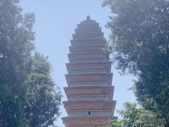 -洛阳白马寺